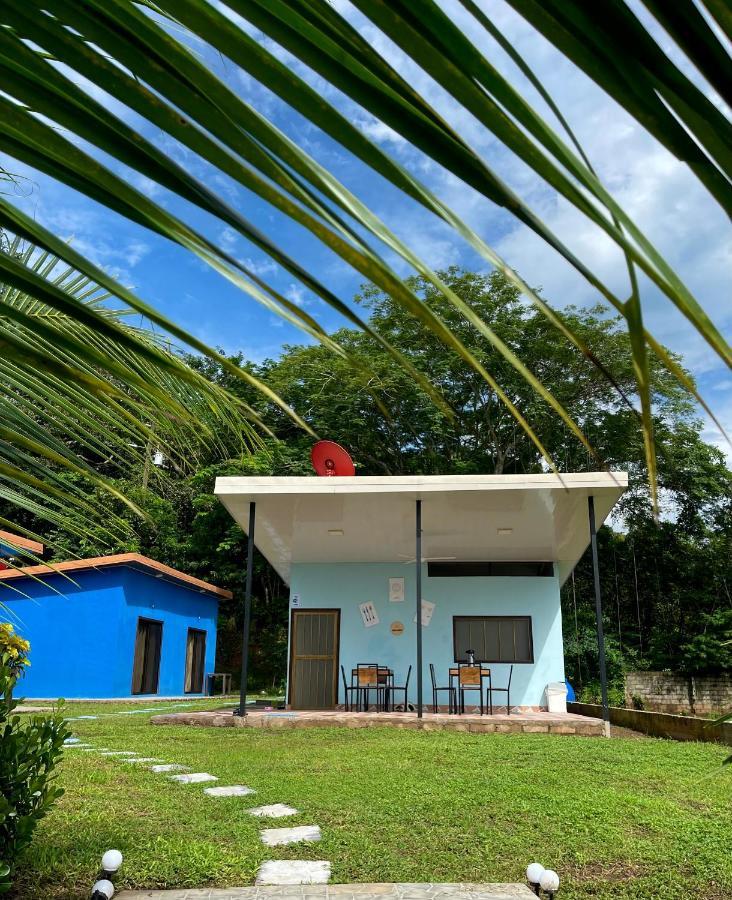 Posada Miradia Matapalo  Экстерьер фото